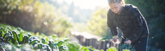 A woman is working in a farm. 