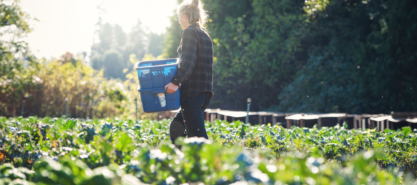 UBC Farm