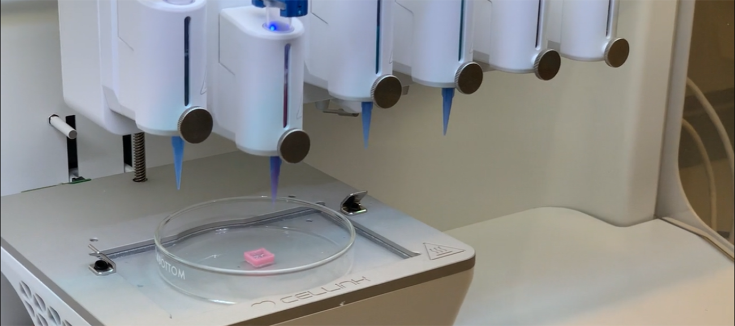 3D print testicular cells