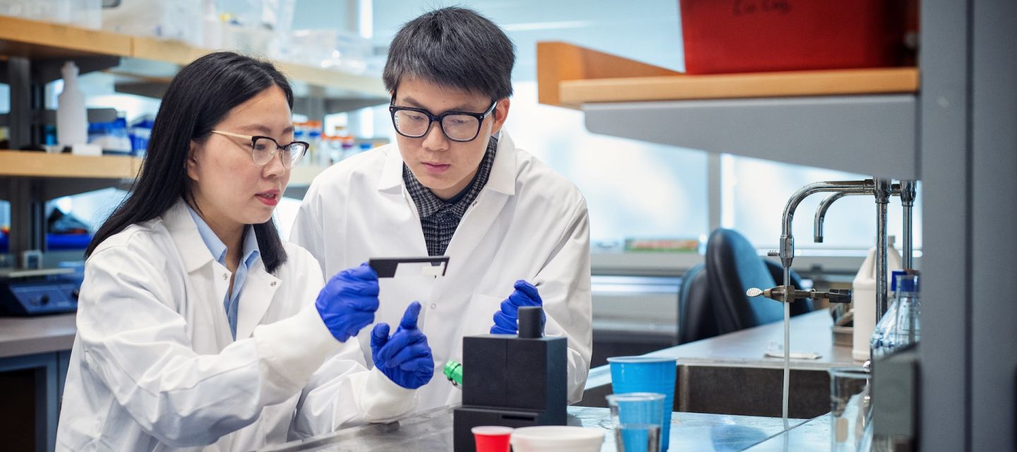 A man and a woman in a labratory, wearing labcoats and blue gloves and looking at a  slide sample.