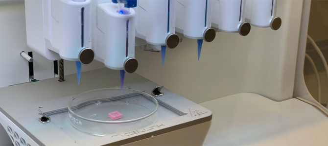 3D print testicular cells